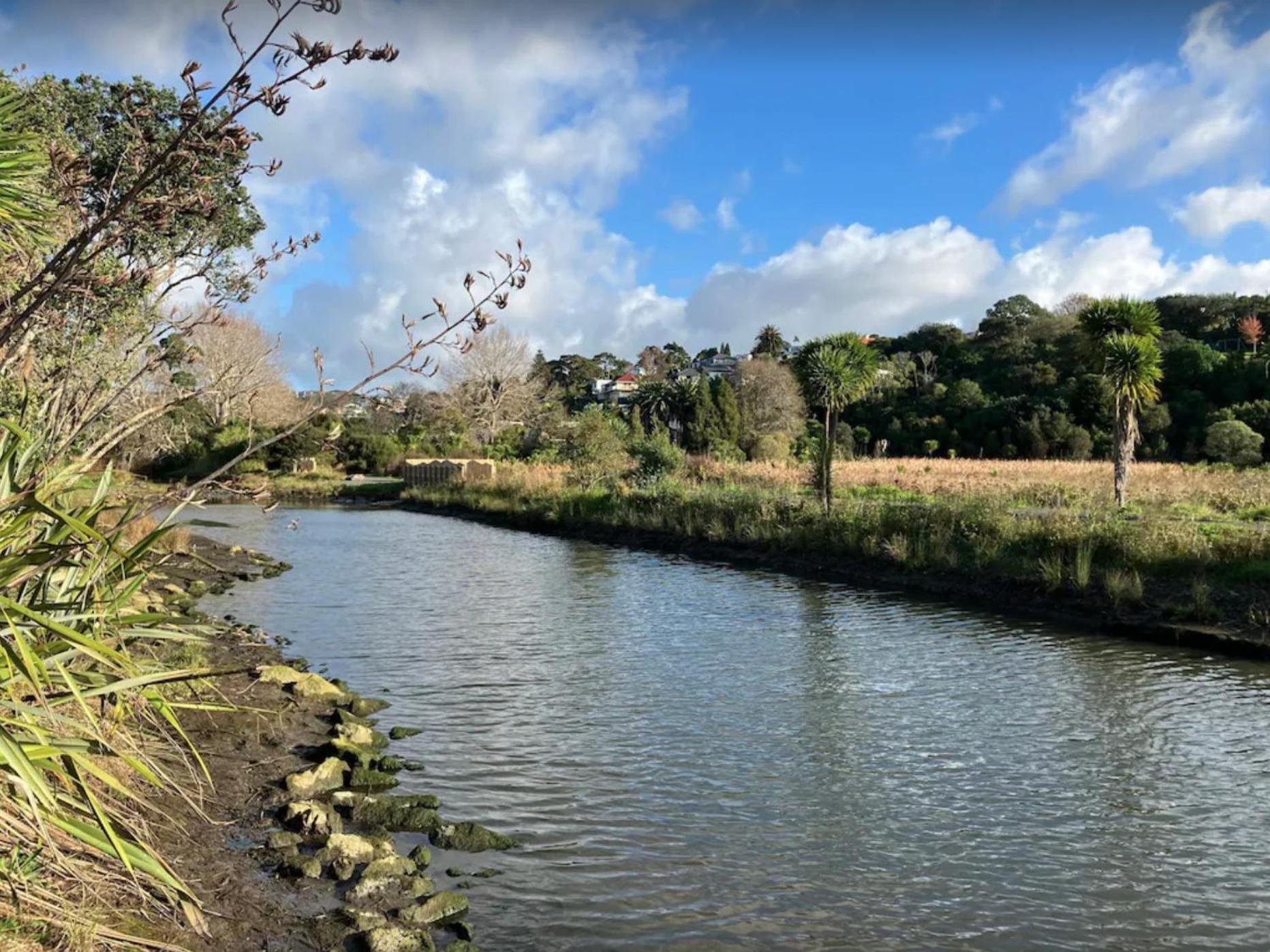Remuera Spacious Holiday Home Auckland Bagian luar foto